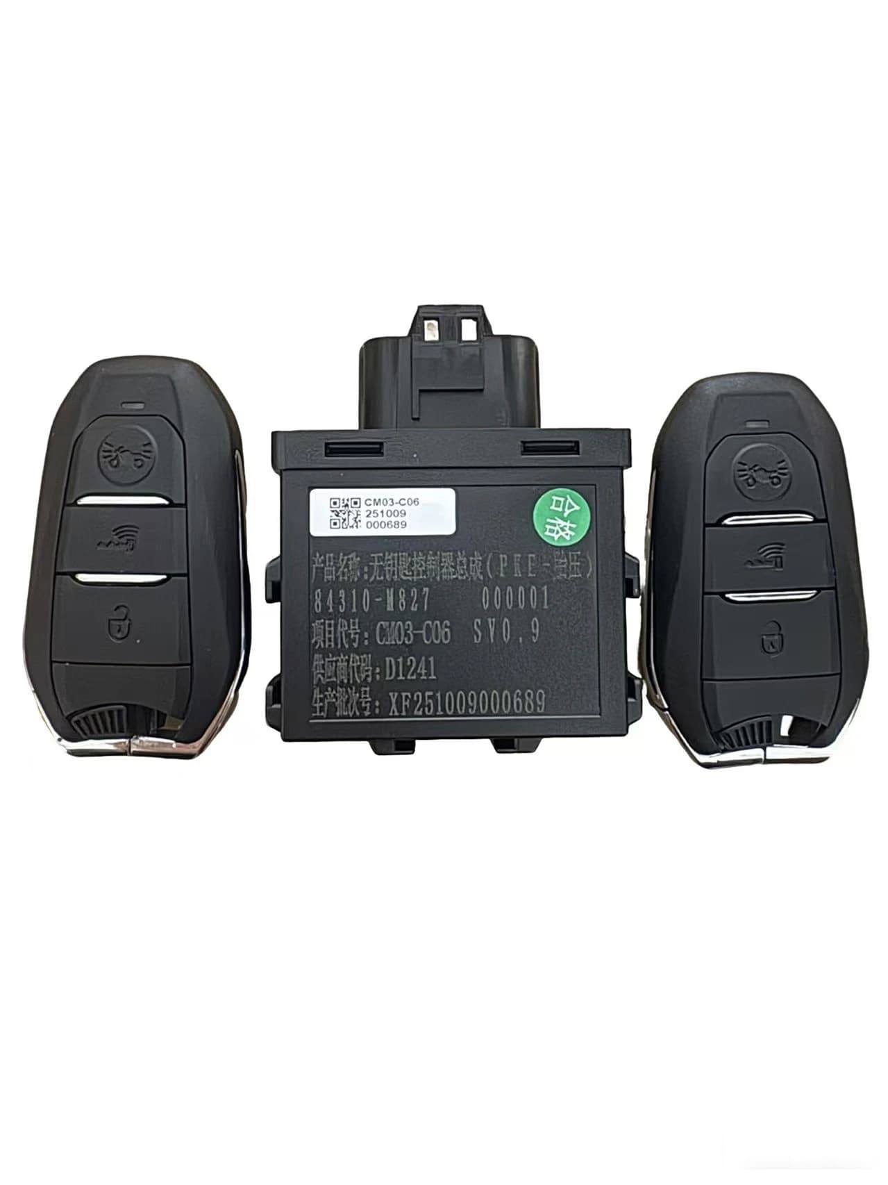 Saikelong Motorcycle Rt1/Rt5/Rt3E Key Smart Key