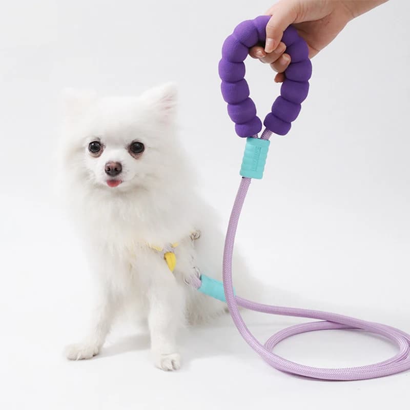 Guinzaglio per cani regolabile lungo e durevole da 150 cm con manico in schiuma, nylon color dopamina, comodo imbracatura per cani da passeggio, forniture per cuccioli