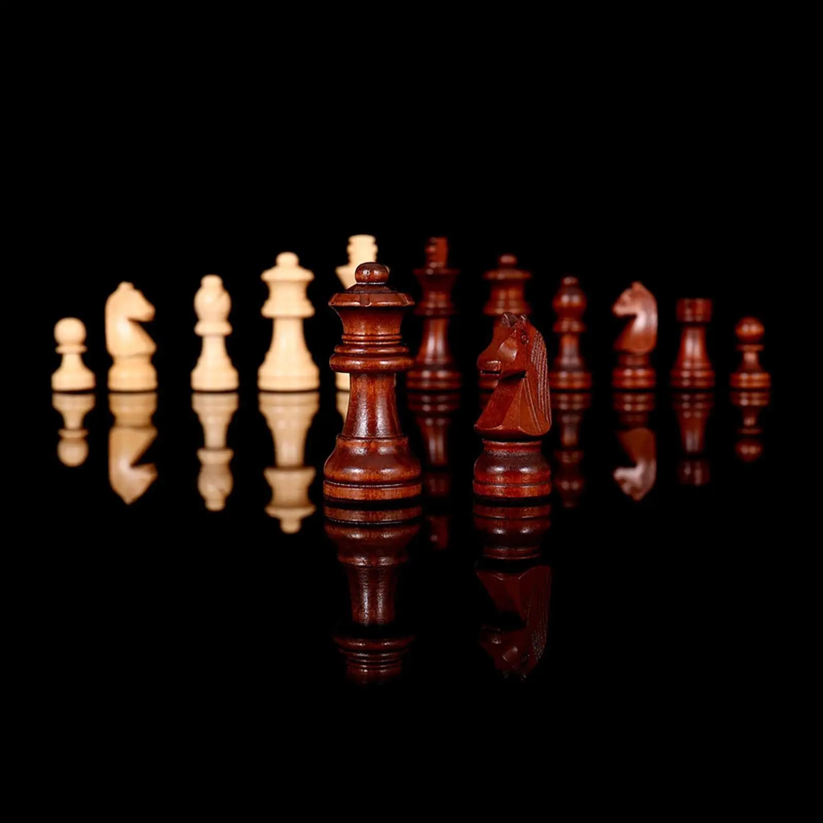Travel Size Wooden Chess Set for Kids Adults Foldable Board Game 2 in 1 Checkers Backgammon Case with Storage Pieces