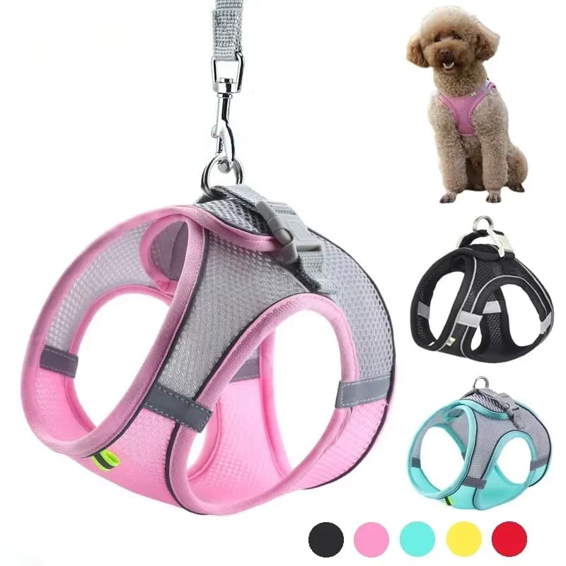 Set Guinzaglio e Pettorina per Cani di Piccola Taglia, Pettorina Regolabile per Cuccioli e Gatti, Guinzaglio per Passeggiate all'Aperto per Bulldog Francese, Chihuahua, Pug