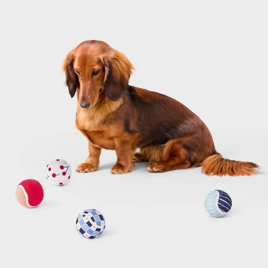 Giocattolo per cani a forma di palla da tennis Americana