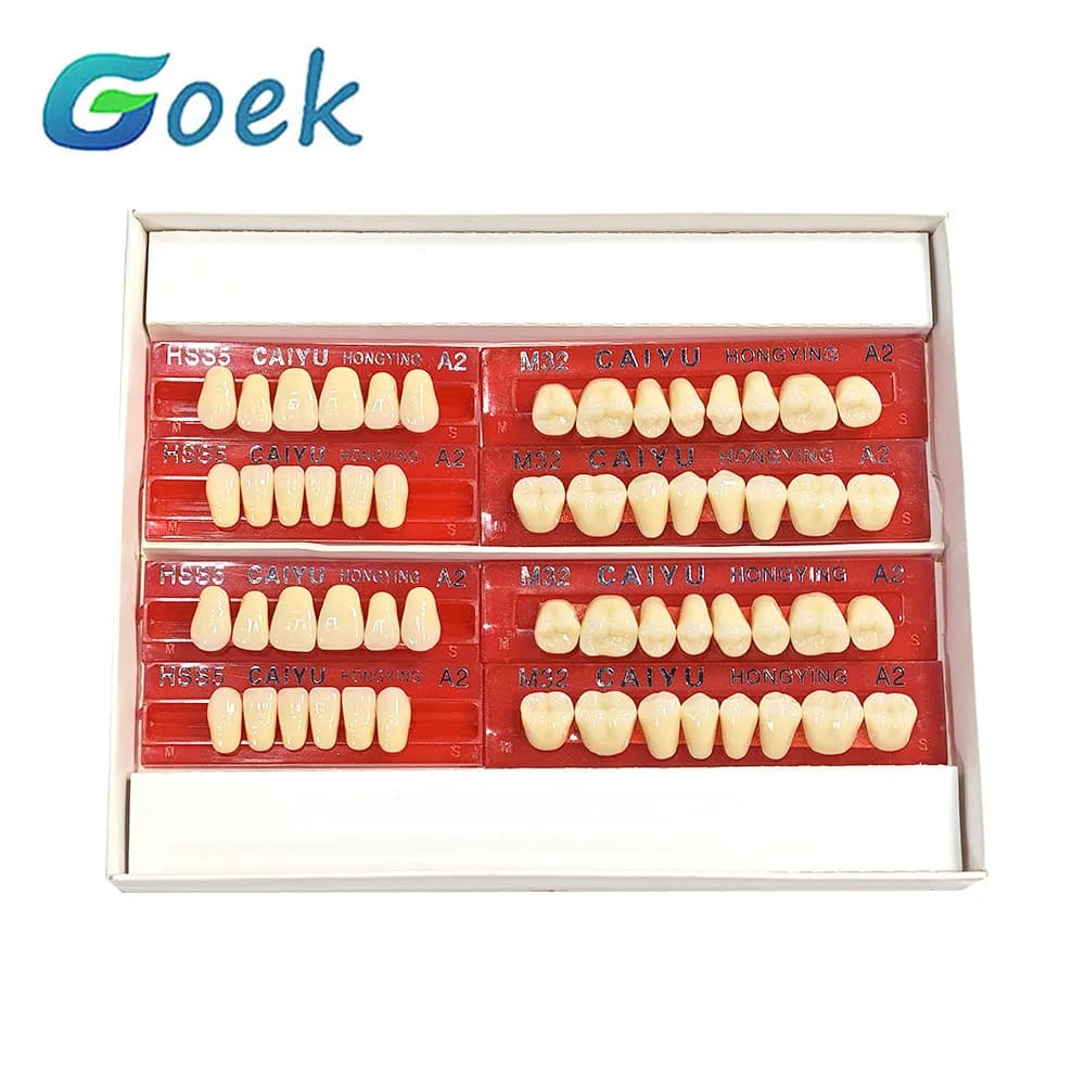 (28*1)*2 Set Denti in resina quadrata dentale Prodotti per protesi preformati a tre strati Bocca Bocca A2/A3 S/M/L Strumento per materiali da laboratorio