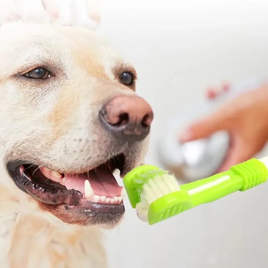 Spazzolino per Animali Domestici a 3 Lati, Spazzolino in Plastica per Cani, Rimozione del Tartaro, Pulizia della Bocca, Cura degli Animali, Pulizia della Bocca dei Gatti