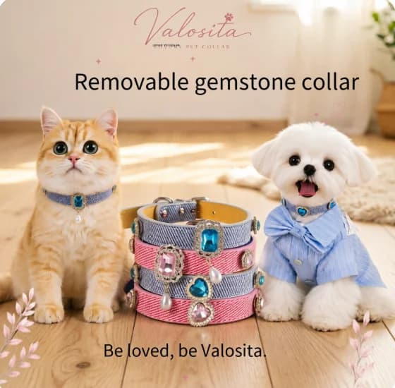 Pet jewelry, diamonds, DIY leather collars, luxurious cat and dog collars, detachable accessories, heart-shaped pearls