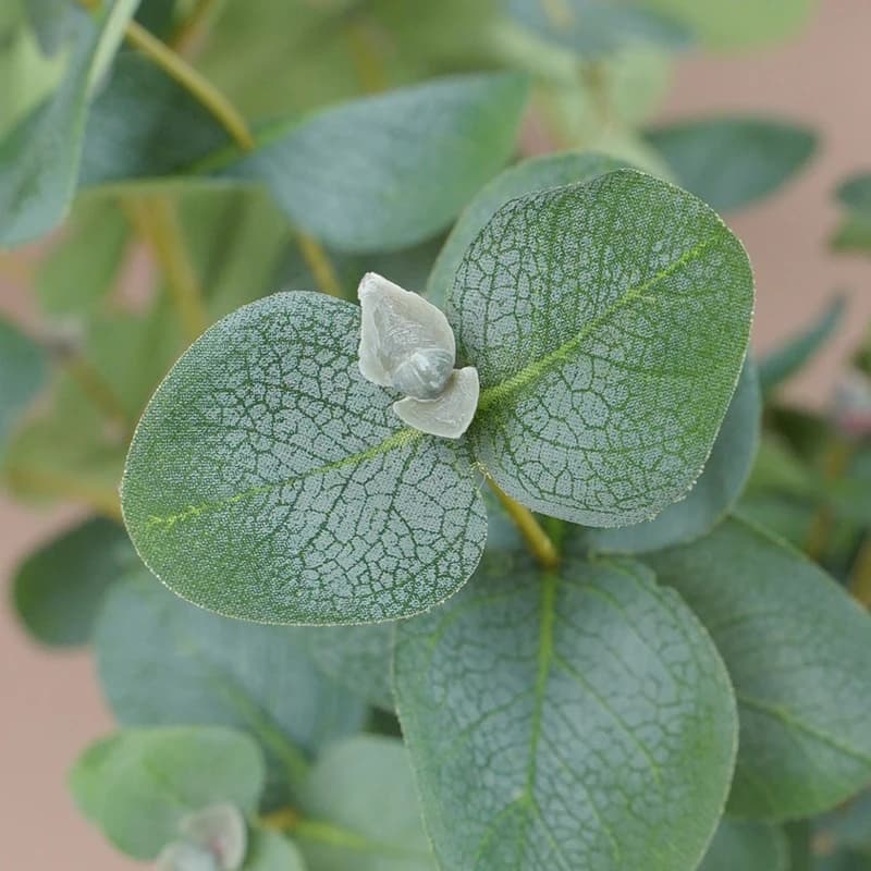 5pcs Simulation Eucalyptus Branch Silk Silver Leaf Plants Artificial Eucalyptuses Leaves Green Plant Auditorium Decoration