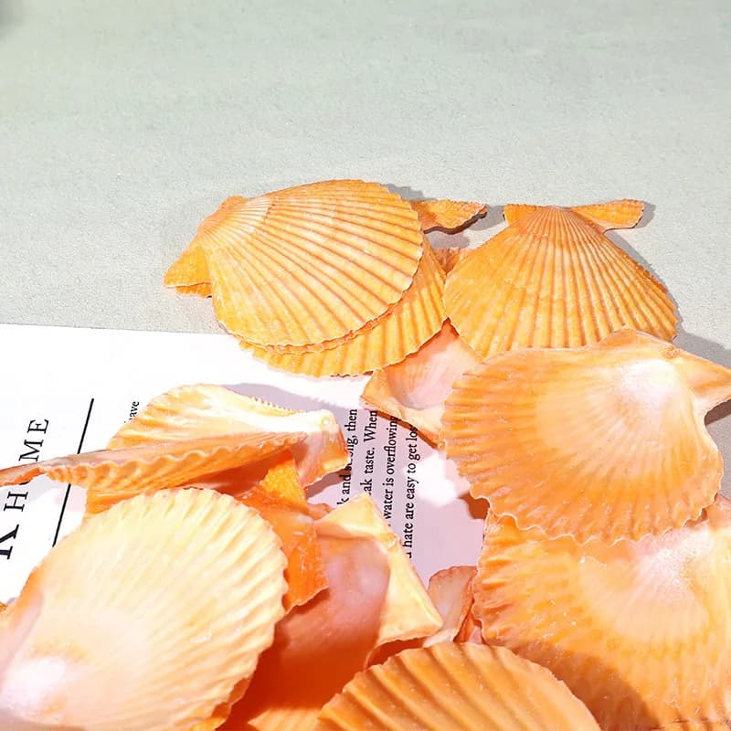 Best Yellow scallop shell fish tank landscape diy hand-decorated Marine system wind chimes pendant drifting bottle decoration