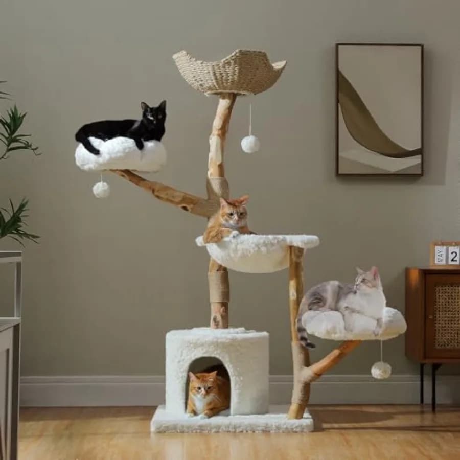 Grande Albero per Gatti da Interno 150 cm, Moderno Tiragraffi per Gatti con Ampio Cesto e Amaca, in Legno Massello Naturale, Lussuosa Cuccia Doppia