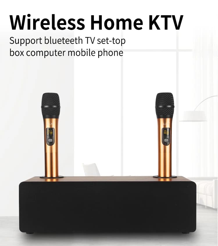 Microfono audio integrato macchina altoparlante Bluetooth subwoofer per computer di casa da uno a due manufatti per karaoke con microfono wireless