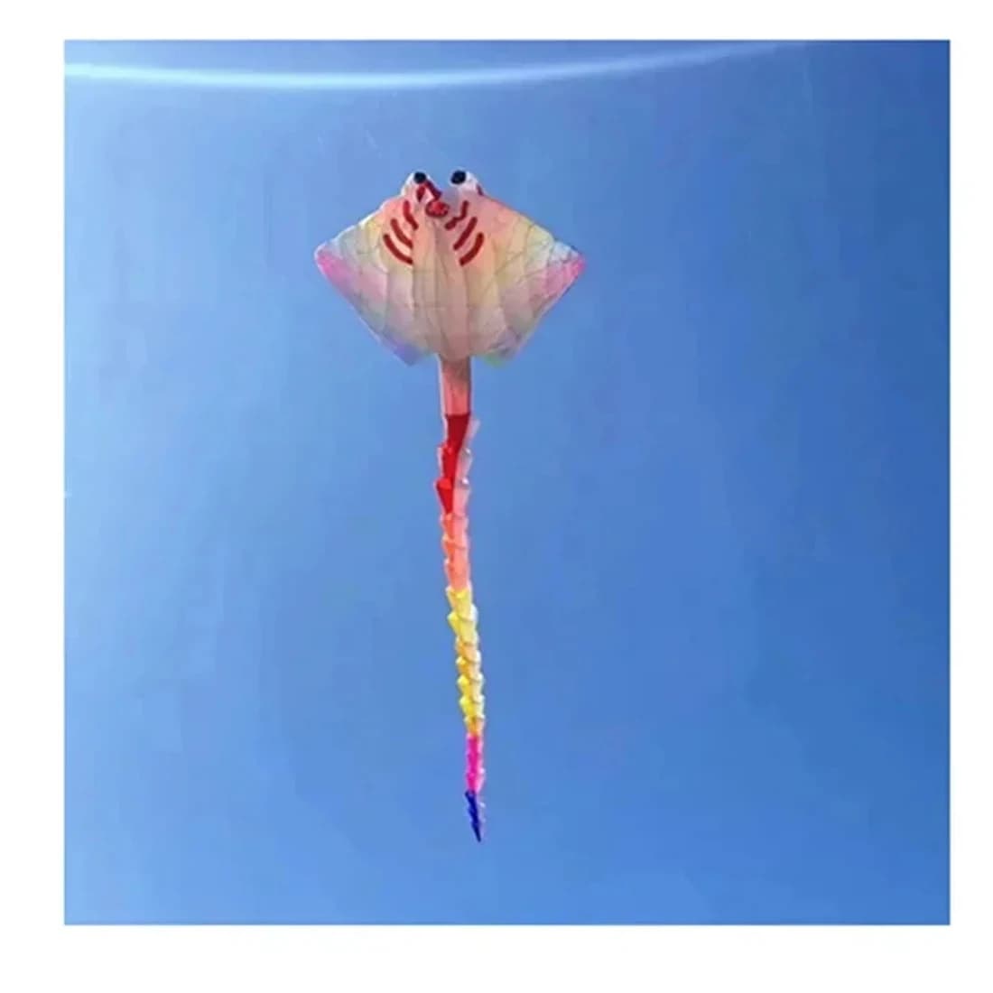 9KM 8m Ray Kite 30D Ripstop Nylon Fabric Line Laundry Kite Pendant Soft Inflatable Large Professional Kite with Bag for Adults