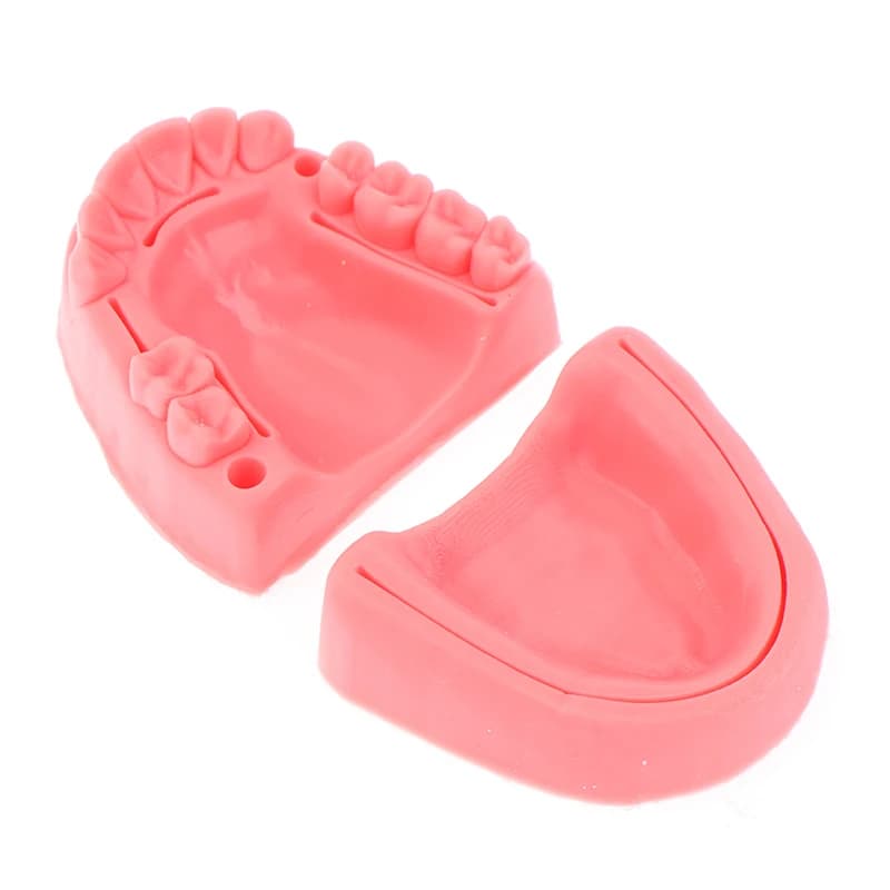 2Pcs Medical Skin sutura Kit di addestramento chirurgico Pad Dental Oral/Gum sutura Training Module Silicone parodontite sutura modello