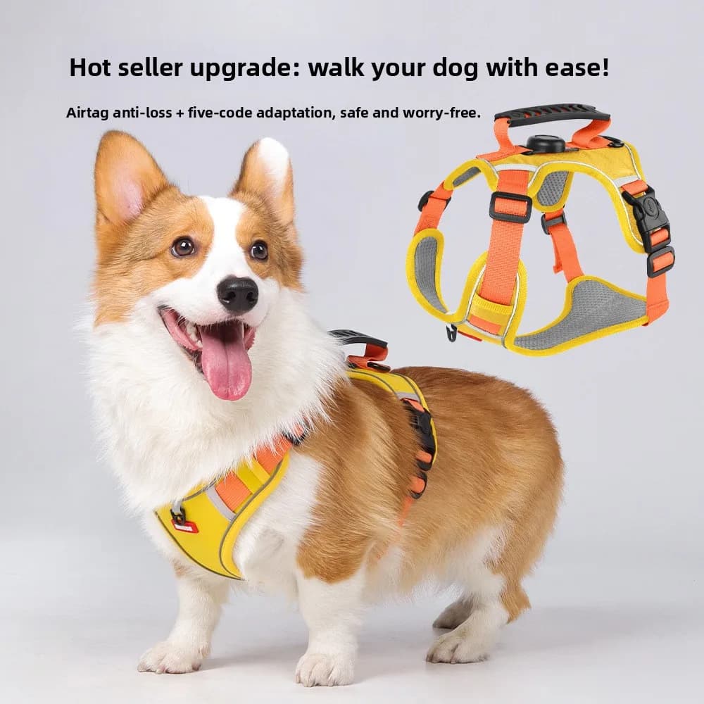 Nuovo pettorale per cani con localizzatore GPS, anti-esplosione, per cuccioli, con corda di trazione riflettente e cintura pettorale.