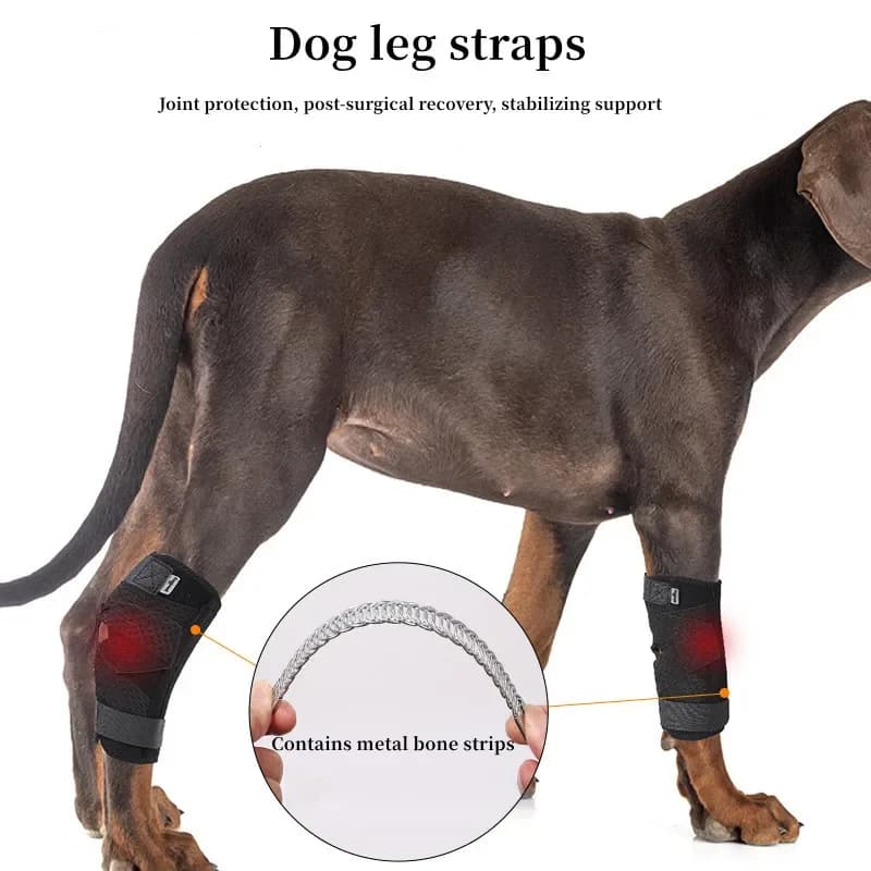 Updated Protects the bandage Protective cover for dog arthritis Dog's legs support Dogs Hock Joint Brace Swimwear for pets Dog injury recovery
