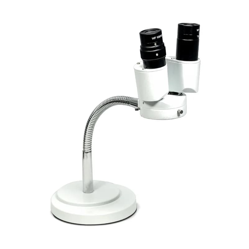 8X 10x 20x Diodo luminescente amplificata Microscopio stereo binoculare Saldatura dentale Attrezzatura elettronica da laboratorio dentale