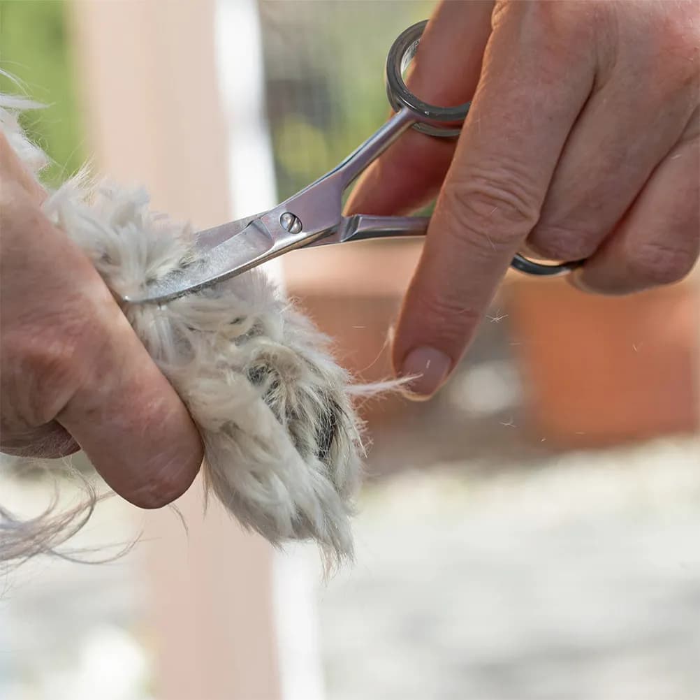 10 Pezzi Anelli Vibranti in Silicone per Forbici, Protezioni per Dita e Pollice per Barbiere Professionale, Taglio Capelli e Toelettatura Animali
