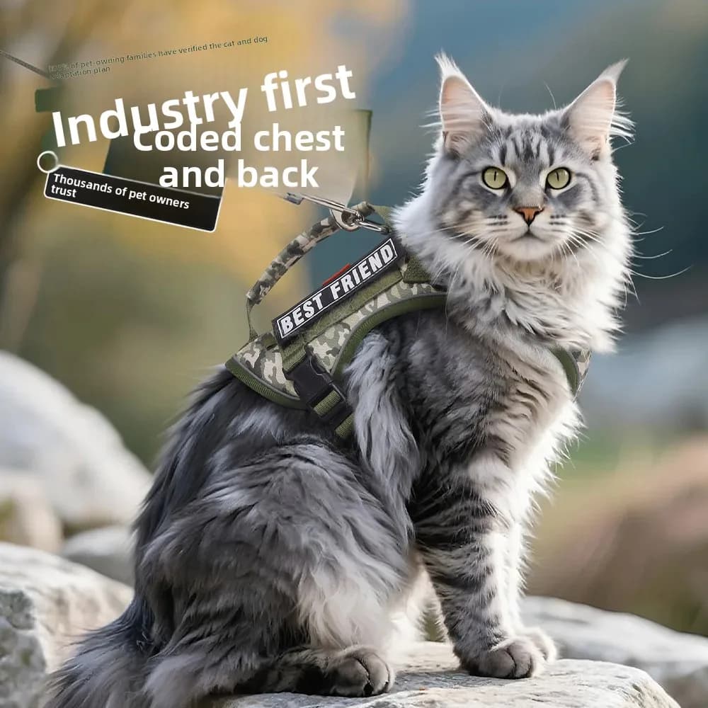 Anti-break free cat leash Reflective cat vest type chest strap Tactical pet luminous walking cat rope dog collar