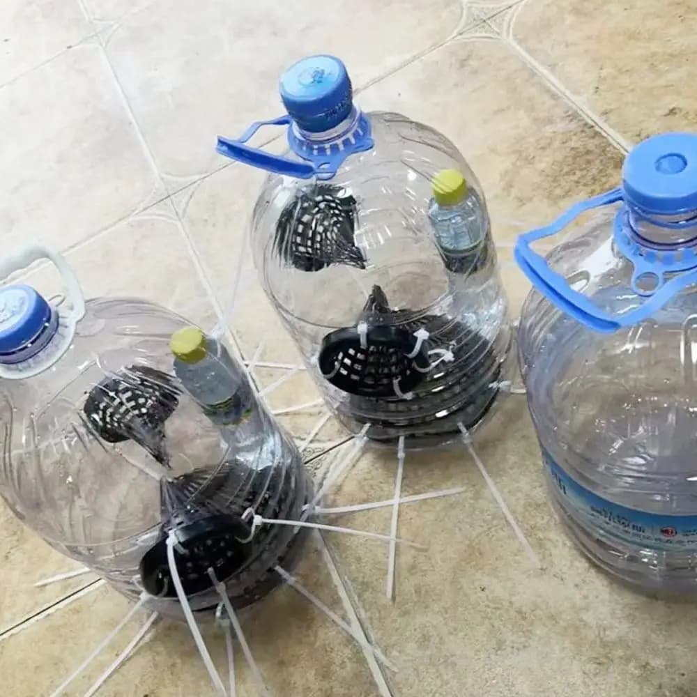 1 pz fai da te plastica gabbia da pesca copertura rettangolare coperchio gabbia cestino cestino esterno affusolato monopterus albus loach trappola rete da pesca