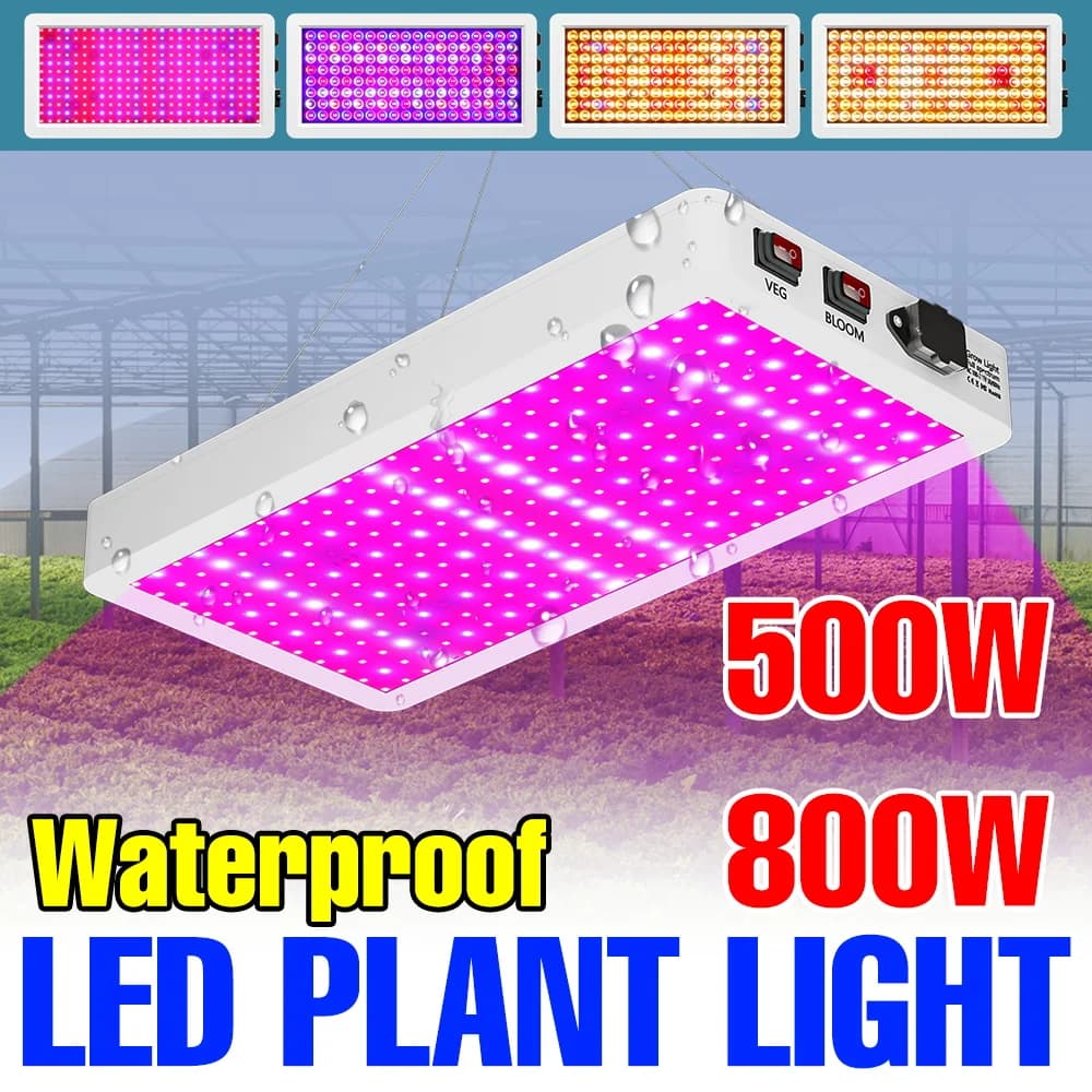 800W 220V Complete Spectro Cultivation LED Lamp, Hydroponic Lighting, Plant Growth, Fruit, Flowers, Vegetables and Seeds