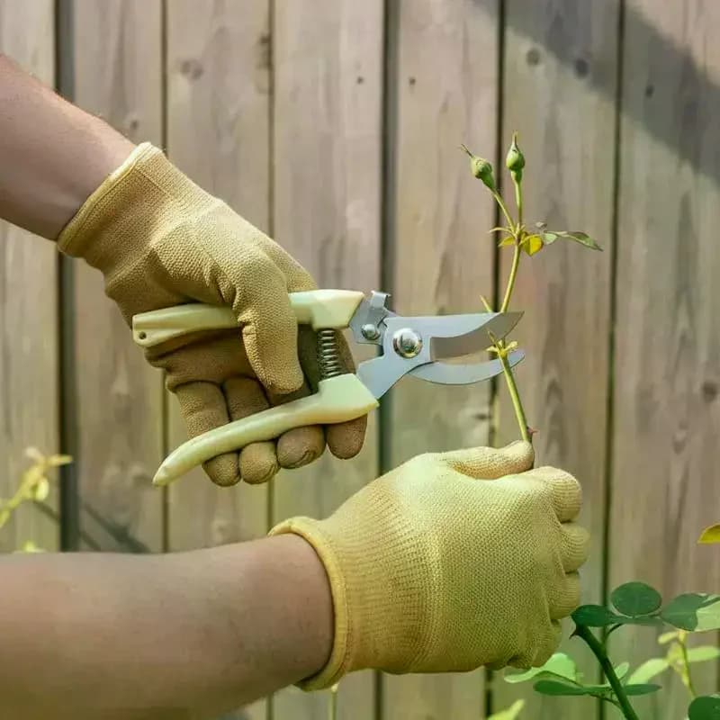 Gardening Scissors for Floral Compositions - Stainless Steel Cesols for Fruit Trees, Copper Cutting and Grafting