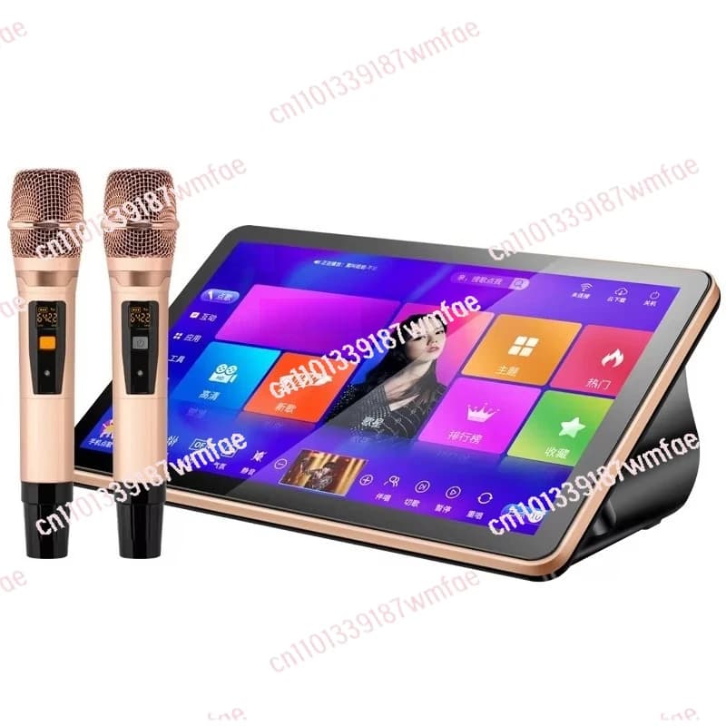 Lettore karaoke KTV touch screen da 18,5 pollici Macchina karaoke professionale Wifi con microfono wireless portatile