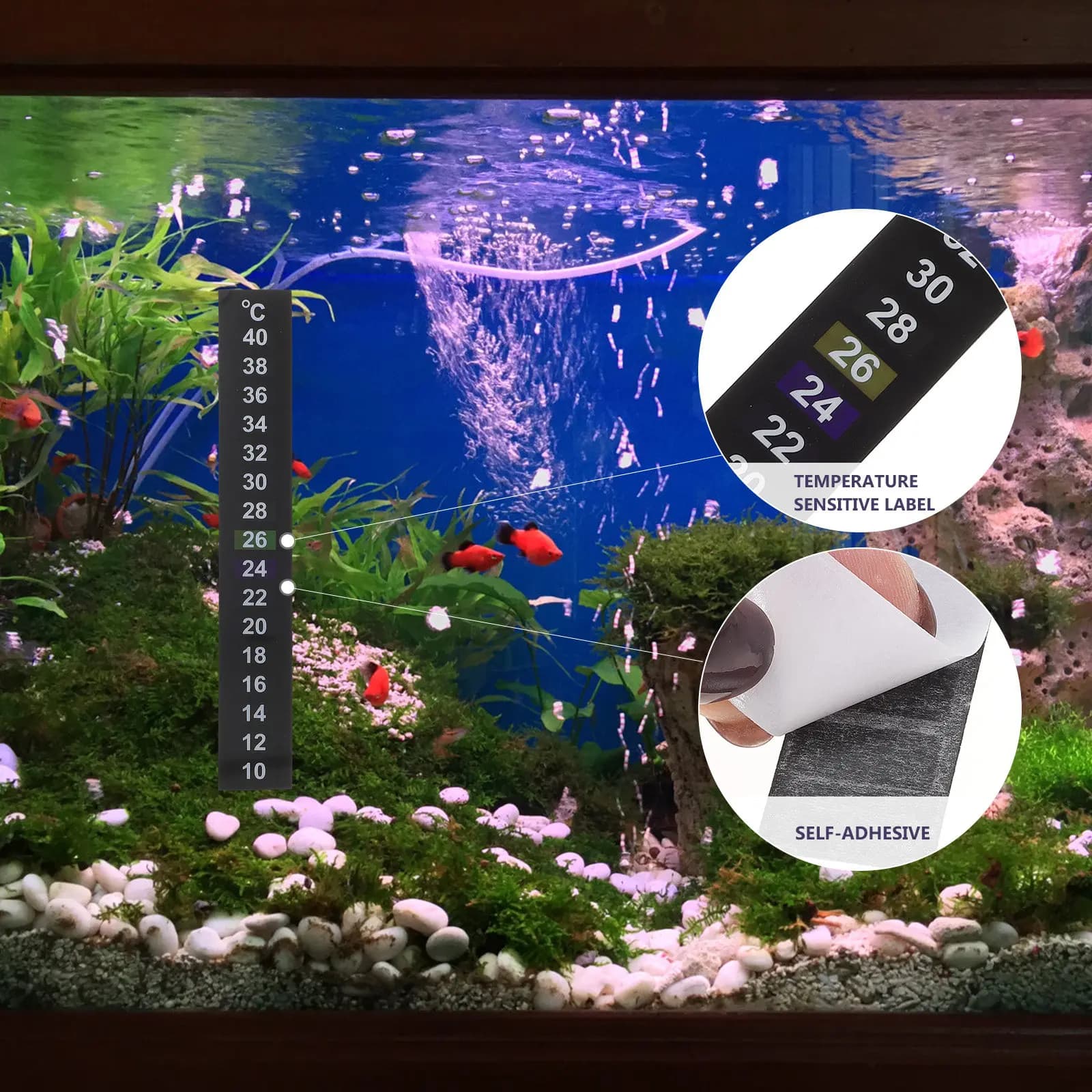 10 Pezzi Termometro Adesivo per Acquario con Cristalli Liquidi, Striscia di Misurazione Temperatura per Serbatoi di Stoccaggio e Fermentazione Kombucha