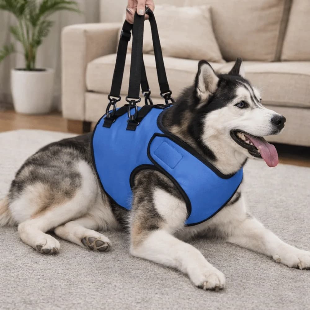 Imbracatura di supporto per cani in tessuto Oxford, regolabile, anti-fuga, con supporto staccabile per zampe anteriori