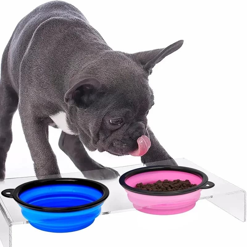 1PC Folding Portable Silicone Dog Feeder Bowl Pet Dispenser Outdoor Travel Dog Cat with Carabiner Bottle Food Water Container