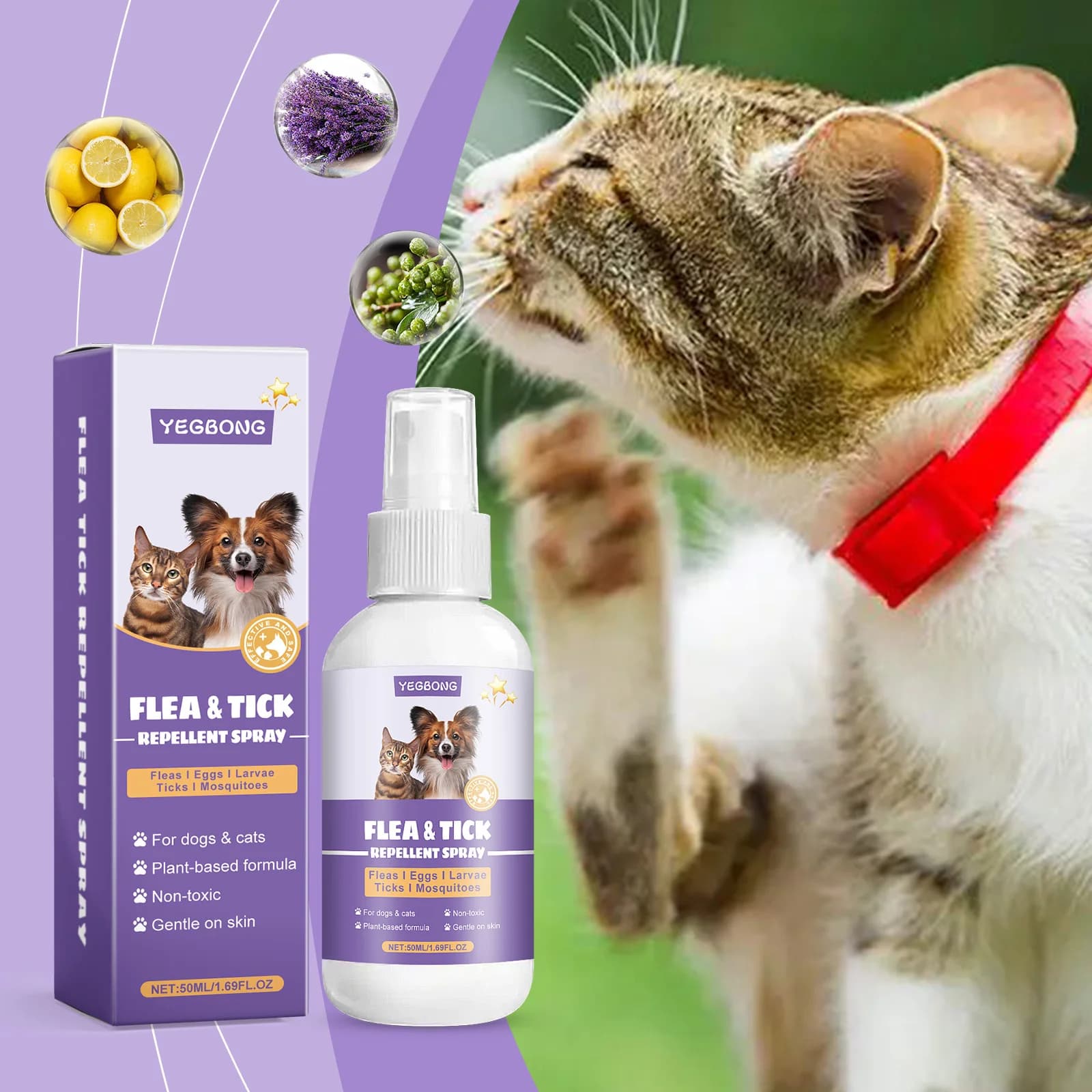 Spray repellente per le pulci degli animali domestici Rimozione efficacemente le pulci Zecche Allevia il prurito cutaneo Ingredienti naturali Spray antiparassitaria per animali domestici non irritante