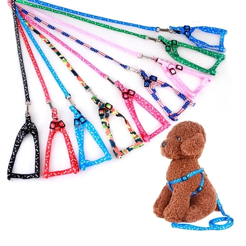 Small Dog Puppy Cat Kitten Leash Harness Set Cute Decorative Lead Rope for Teddy Small Pets Outdoor Walking