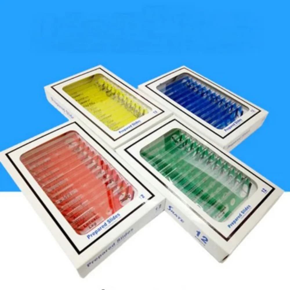4 scatole/lotto di vetrini in plastica per microscopio, vetrini per campioni biologici sicuri per i bambini