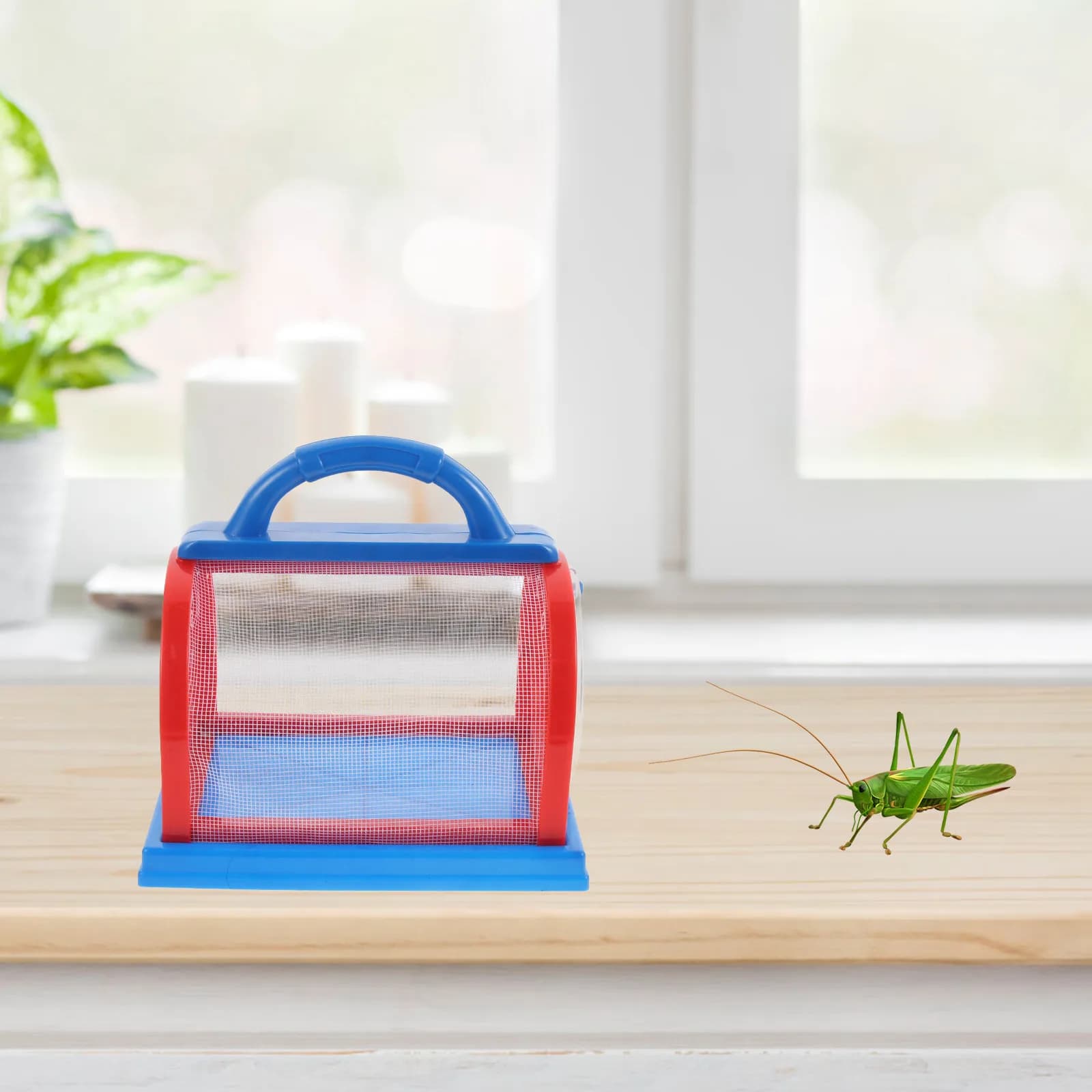 Set di Gabbie Trasparenti in ABS per l'Osservazione degli Insetti, per l'Esplorazione Scientifica all'Aperto dei Bambini