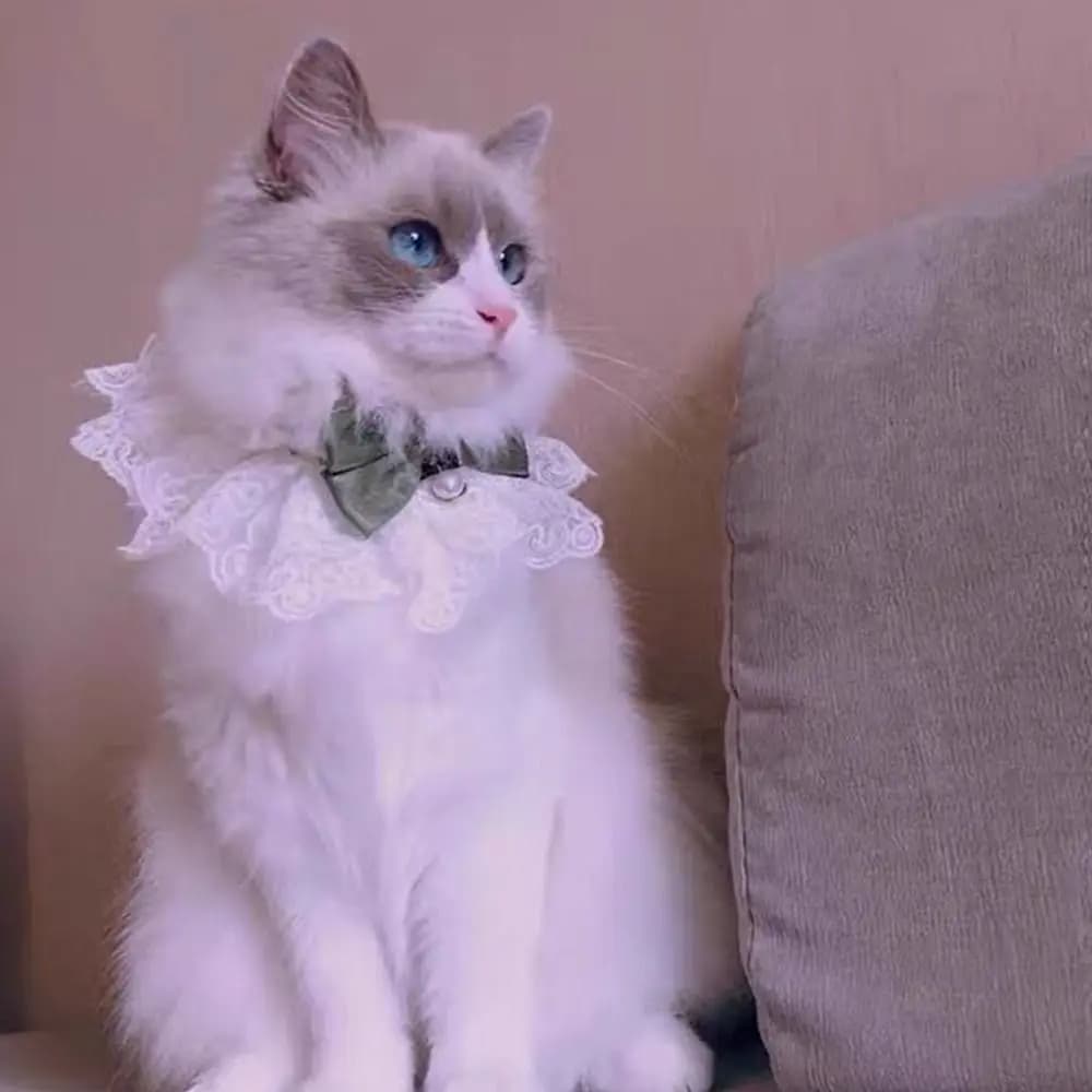 Collana regolabile per gatti, tracolla in pizzo, fiocco, per cuccioli, bavaglino, collare di perle, fazzoletto da collo per cani