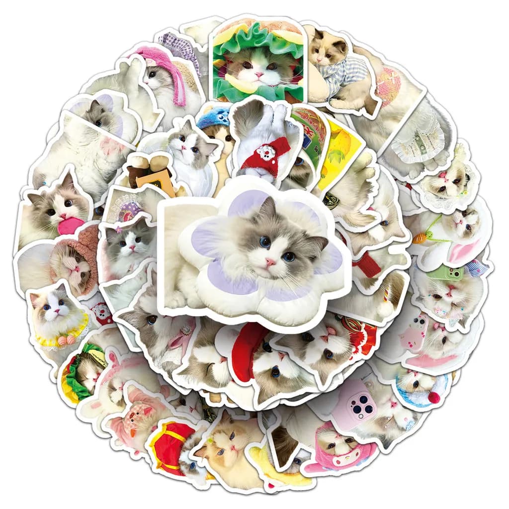 50 adesivi per gatti Ragdoll - Decorazioni per animali domestici simpatico cartone animato per bottiglia d'acqua/laptop - Registrazione impermeabileYourLife Store