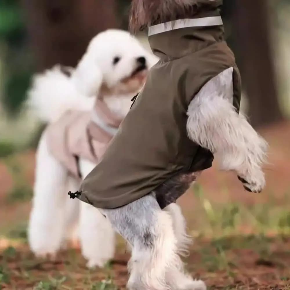 Impermeabile per cani regolabile alla moda, morbido cinturino riflettente, vestiti impermeabili per cani con guinzaglio sul petto, cappotto da esterno per animali domestici