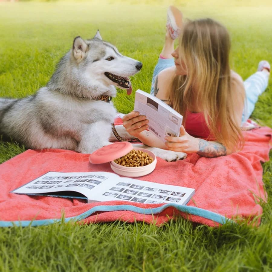 Outdoor pet food and water bowl - Hooked folding small dog and cat portable snack and food storage box