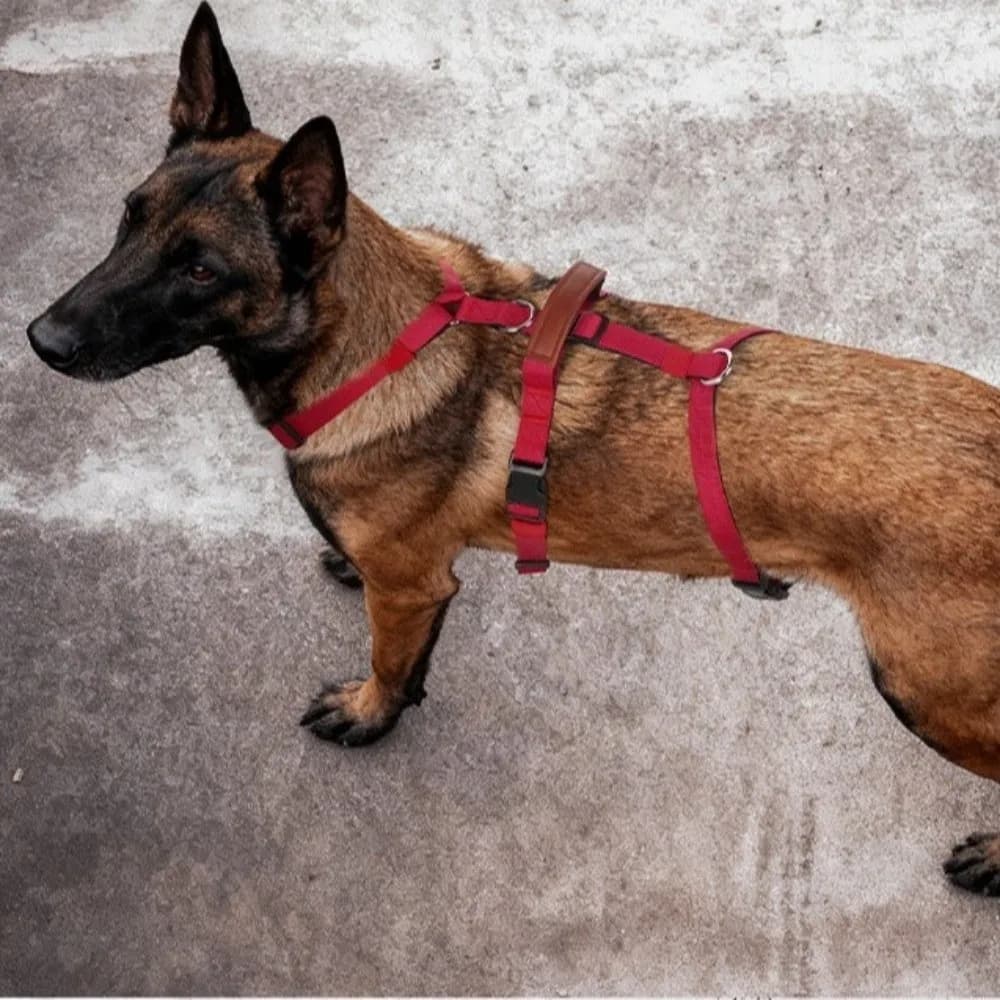Dog Leash Vest Adjustable Dog Harness Vest Comfortable Anti Breakaway Dog Anti Escape Vest Durable Training Vest Training