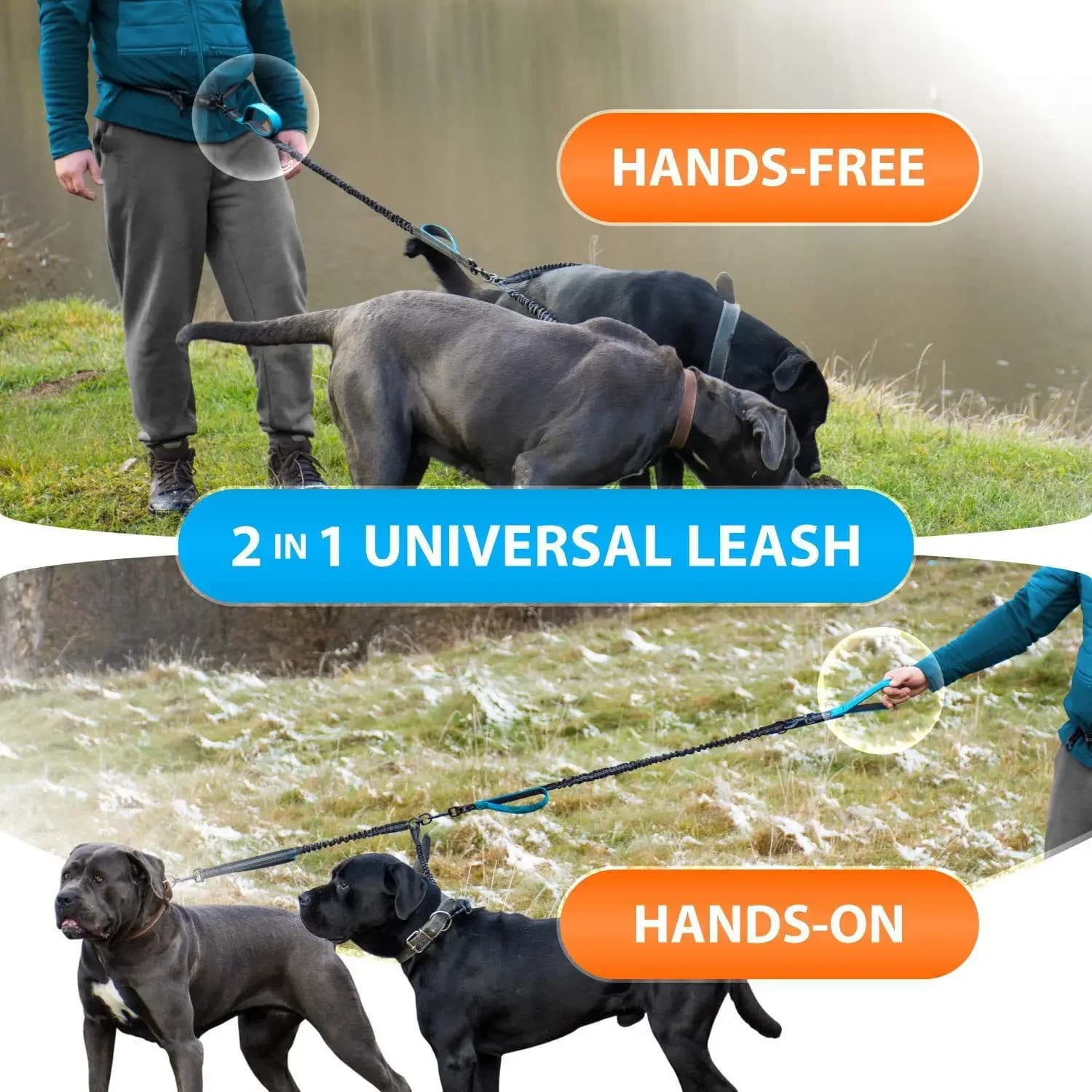 Guinzaglio Doppio Robusto per Cani, Guinzaglio Doppio per Passeggiate con Maniglie Imbottite e Cuciture Riflettenti per Razze Medie e Grandi