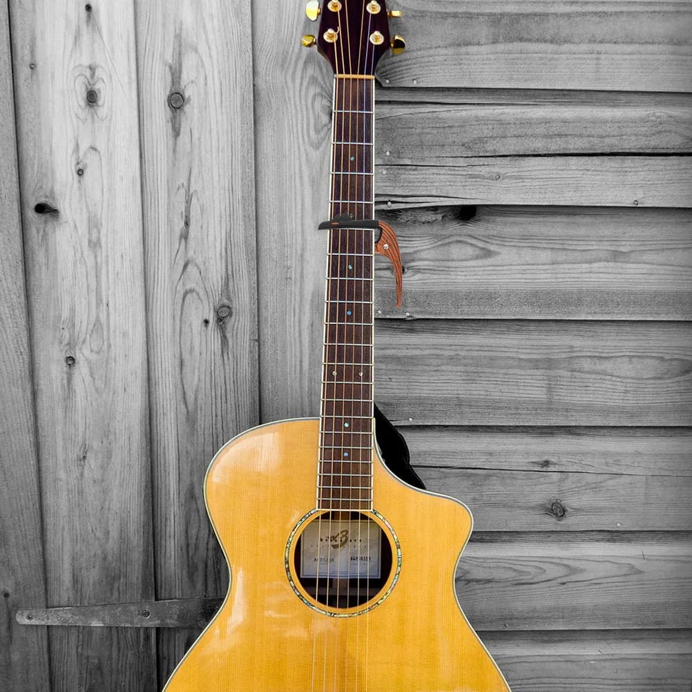 Capotasto per Chitarra in Lega di Zinco, Leggero e Portatile, per Chitarra Acustica, Elettrica e Ukulele, Ottima Regolazione