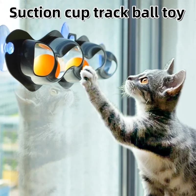 Nuovo Giocattolo per Gatti con Palla su Pista in Plastica, Accessori per Animali Domestici, Giocattolo per Gatti con Palla da Ping Pong ad Aspirazione per Finestra e Vetro, Divertenti Giocattoli per Gatti, Giocattoli per Animali Domestici