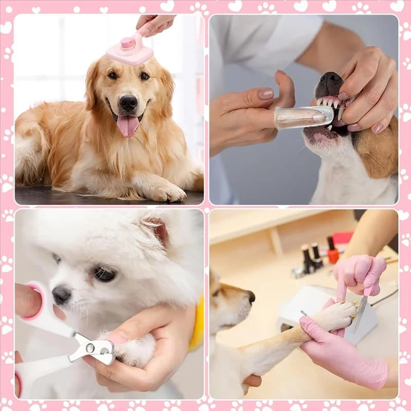 Set per toelettatura con spazzole per cani Most-8 pezzi, set autopulente per animali domestici, con tagliaunghie e lime per animali domestici, pettine, spazzola da bagno per shampoo per animali domestici