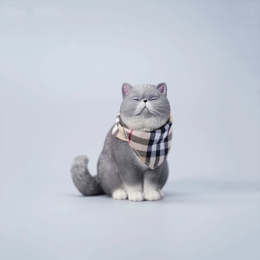 JXKI JXK113 Scala 1/6 Testa Sostituibile Exoticshorthair Pet Cat Modello In Resina Misura 12 ''Action Figure Scena Accessori Ornamenti