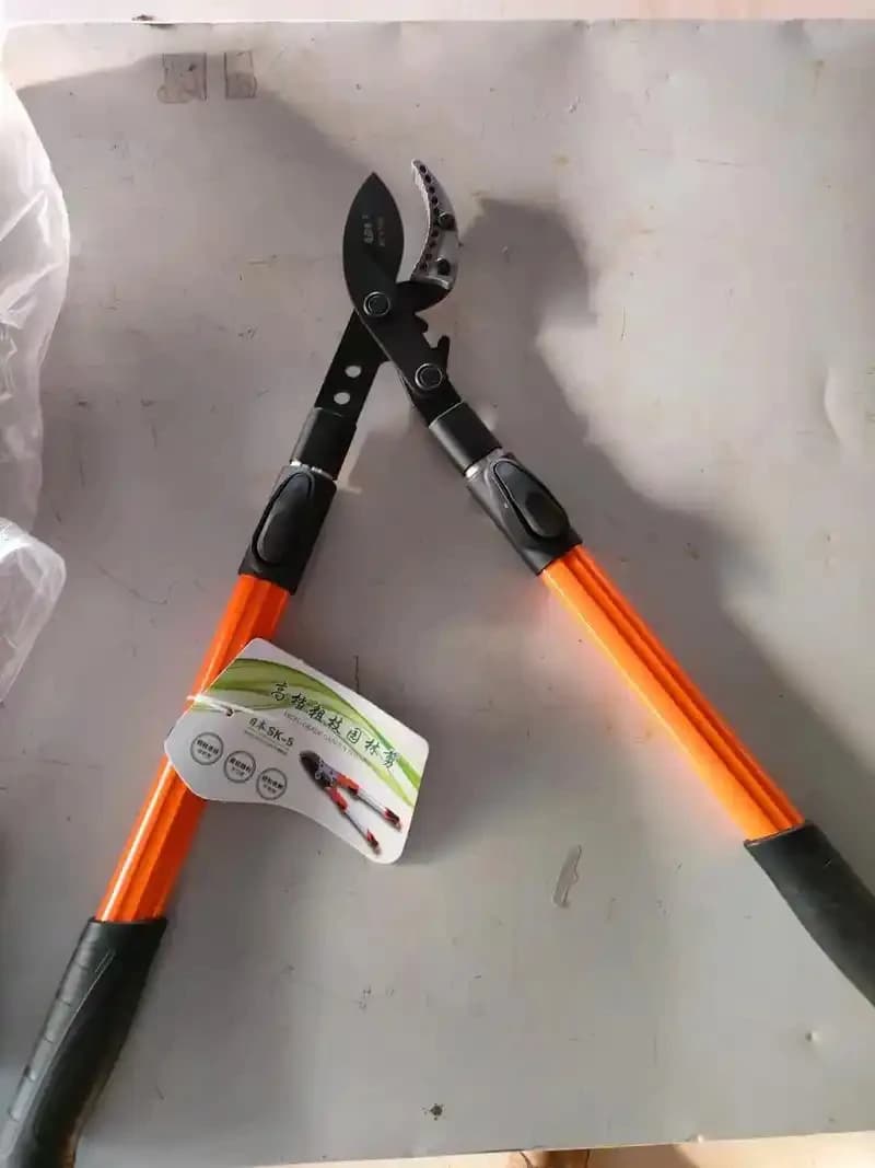 Batteria di Ricambio Originale 12800mAh per Robot Aspirapolvere CECOTEC CONGA 4090 4490 4590 4690, Accessori e Parti di Ricambio
