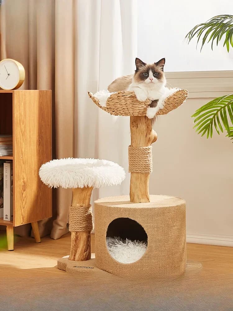 Tiragraffi per gatti in legno massello di cattail, con tronco integrato, lettino per gatti, albero per gatti, sisal estivo di piccole dimensioni, non occupa spazio.
