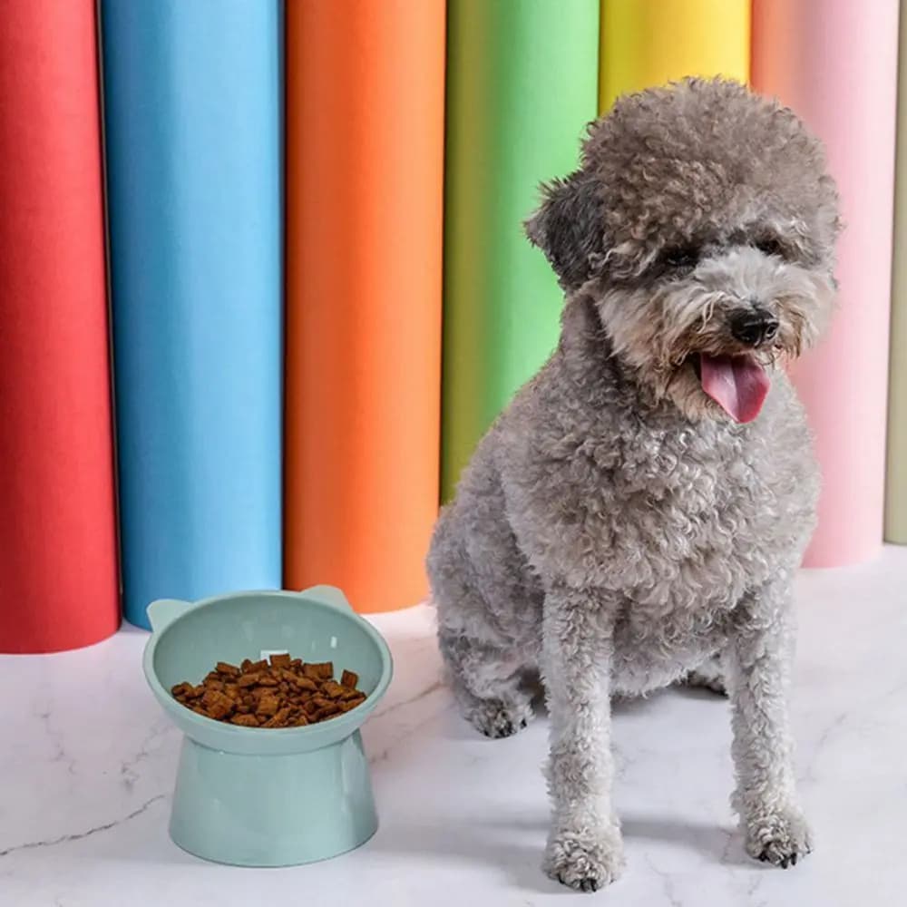 Single Anti-overturning Stand Bowls Pet Feeder Bowl Pet Bowls Pet Products Dog Elevated Bowls Food Water Bowl Feeding Cup