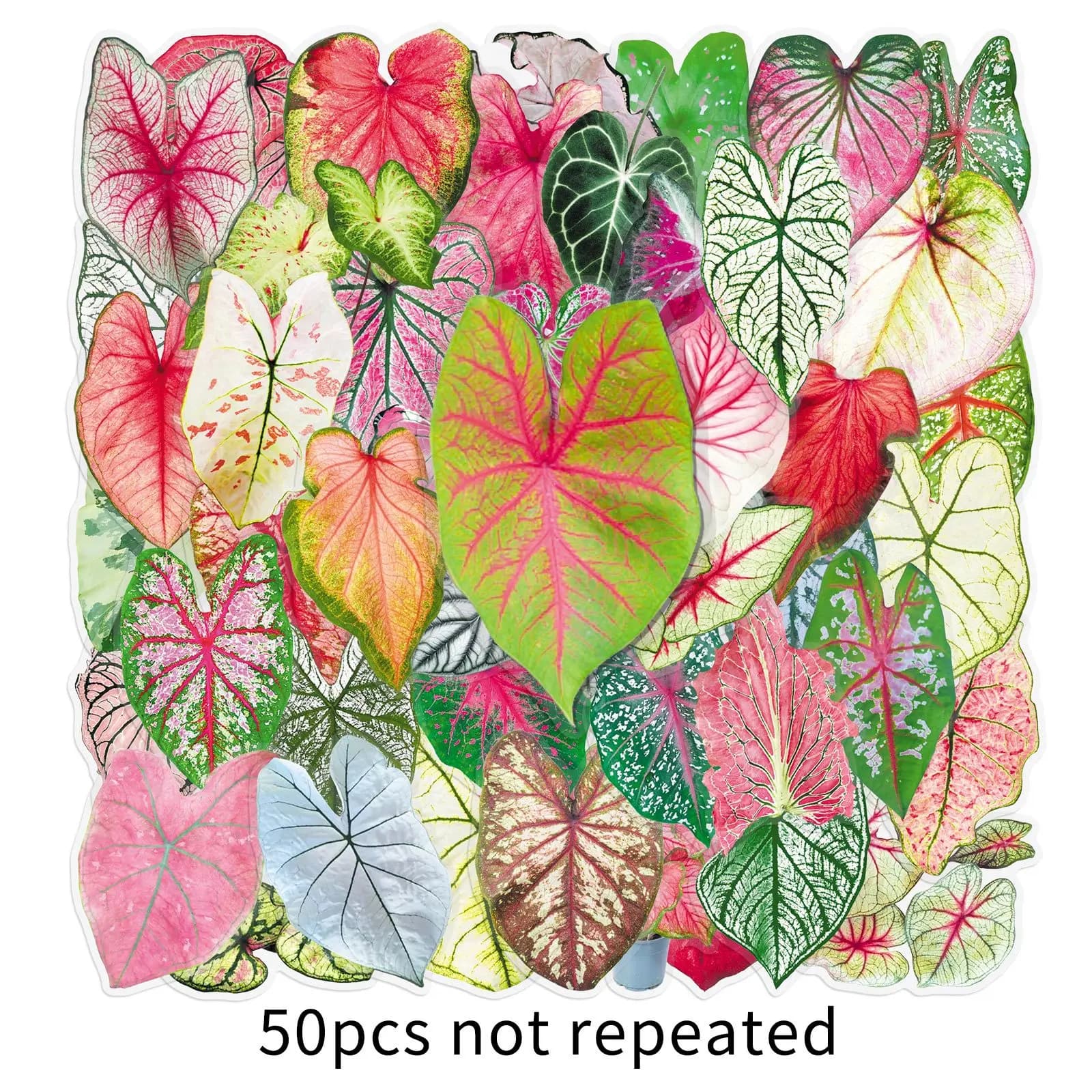 50/100 Pezzi Adesivi HD Colorati a Forma di Foglia in PET Trasparente, Impermeabili per Scrapbook, Fai da Te, Telefono, Diario, Cartelle, Frigorifero, Finestre
