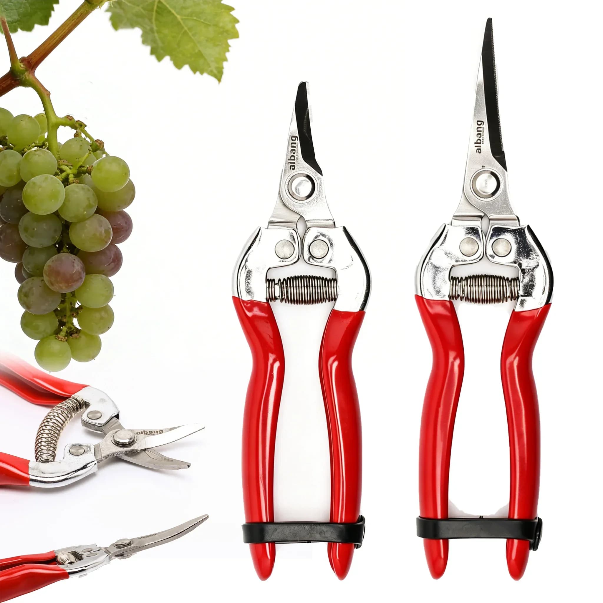 Garden Feeding Scissors, Vase Copper Shears, Fruit Harvests, Hand Tools for Home, Garden and Frutteto