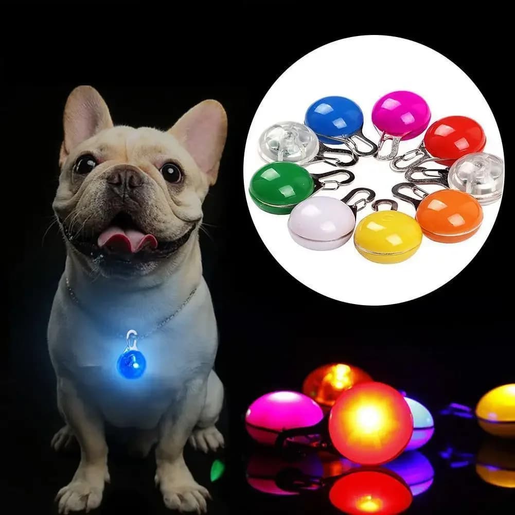 Collare per cani a LED Luce che si illumina al buio Striscia riflettente Ciondolo di sicurezza notturno anti-smarrimento per animali domestici Gatto Regalo di Natale vari colori