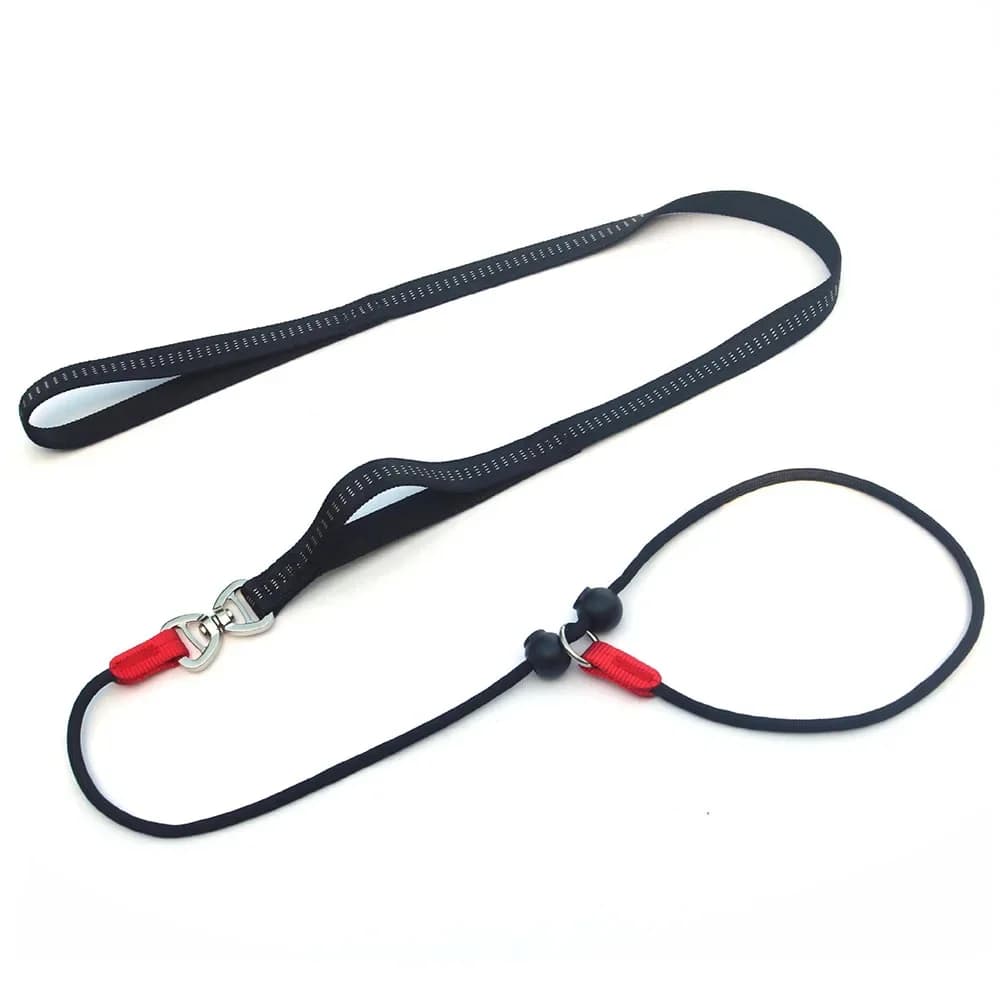 No-Pull Slip Lead Dog Leash with Double Handles Soft Nylon Pet Training Leash with 360° Swivel Anti-Tangle Leash Collar for Dogs