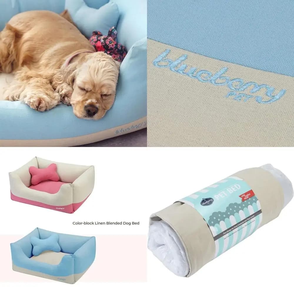 Cuccia per cani lavabile e resistente, 25x21x10, 6 libbre, azzurro e beige, adatta per cani e gatti