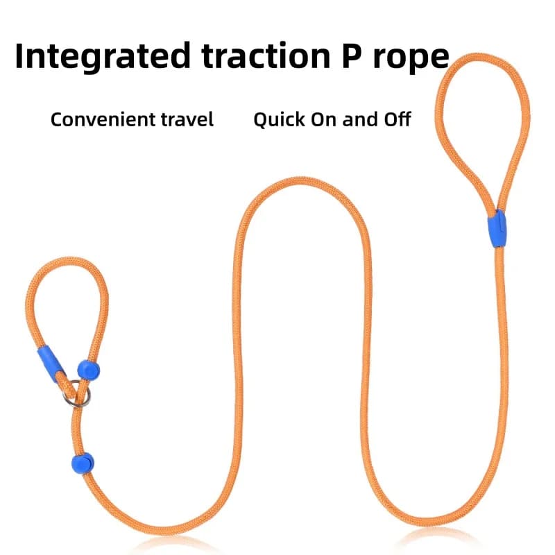 No Pull Dog Slip Lead Leash 160cm Adjustable Nylon P Chain Collar For Small Medium Dogs Puppy Walking Training Pet Supplies