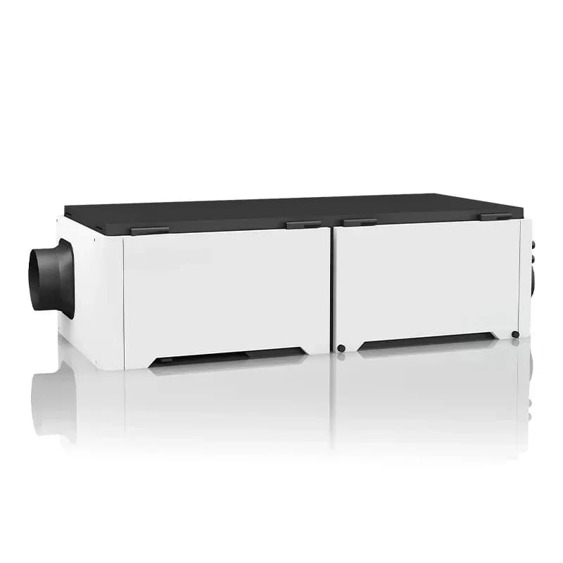 Deumidificatore da Soffitto per Piscina Domestica da 60L/G, Prezzo di Fabbrica, Vendita Calda